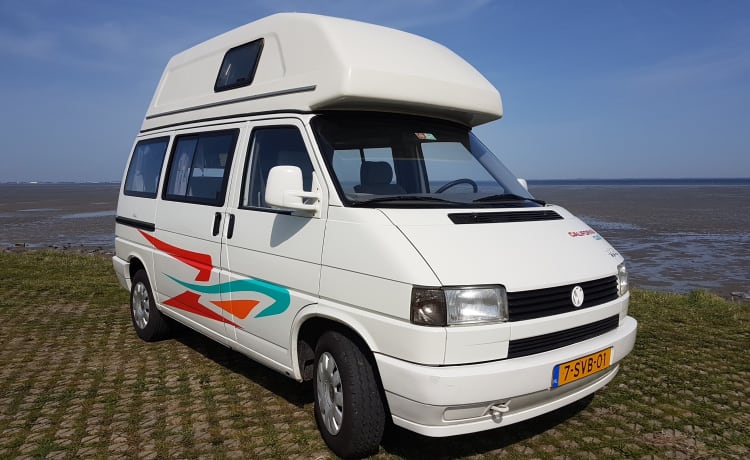 Volkswagen T4 California Hochdach - Zeeland