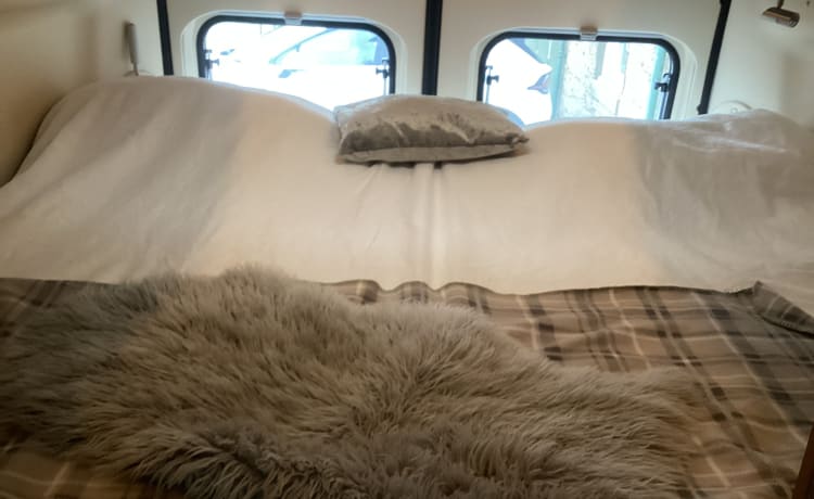 Our van  – 2 Posti letto adria Camper Sunliving . Chilometraggio molto basso