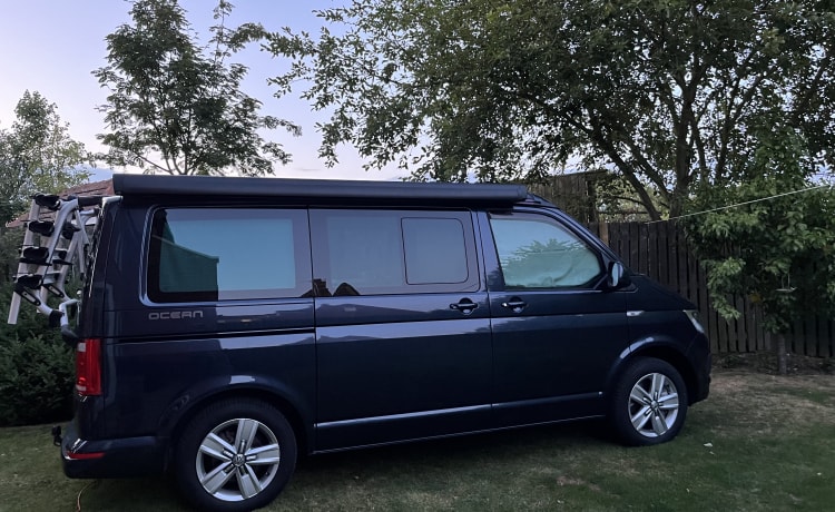 Roxie – 4 berth Volkswagen campervan from 2019