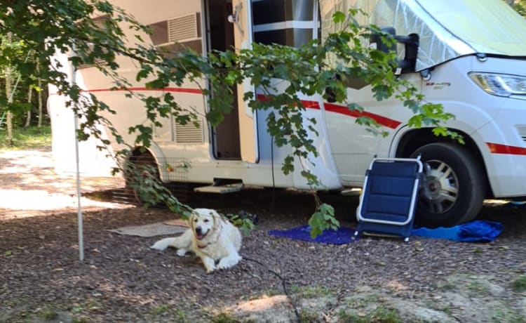 Exultare – Entspannt unterwegs mit diesem kompletten 4er Camper. Gut >3j C1 Führerschein