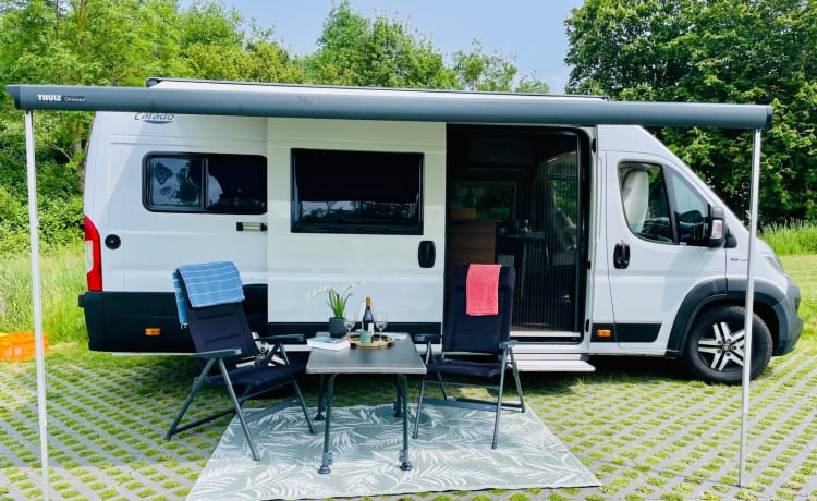 Tourer 6.4 – 2p Carado bus from 2019