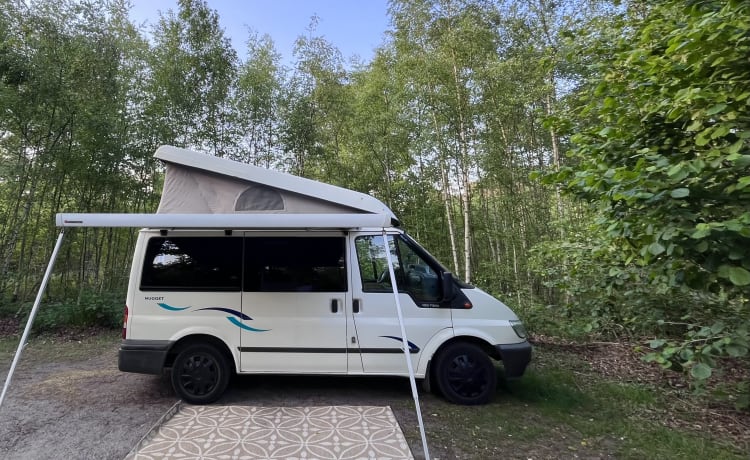 Ford Nugget Westfalia 4p handlicher Grundriss