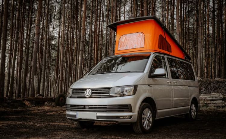 Georgie – VW T6 Campervan inklusive Vollkaskoversicherung