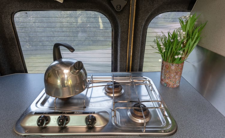 Type 5 – Compact All seasons camper