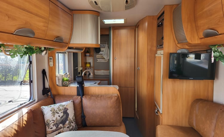 Dolores – 5p Hymer integrated from 2004