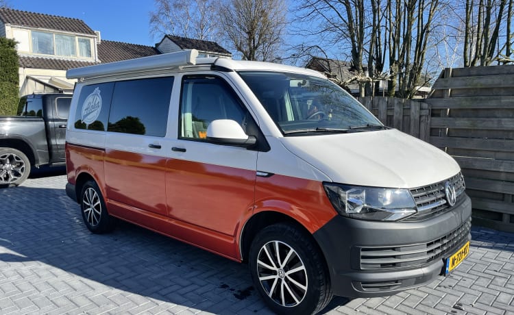 Aloha beach camper Orange – VW T6 Automatic