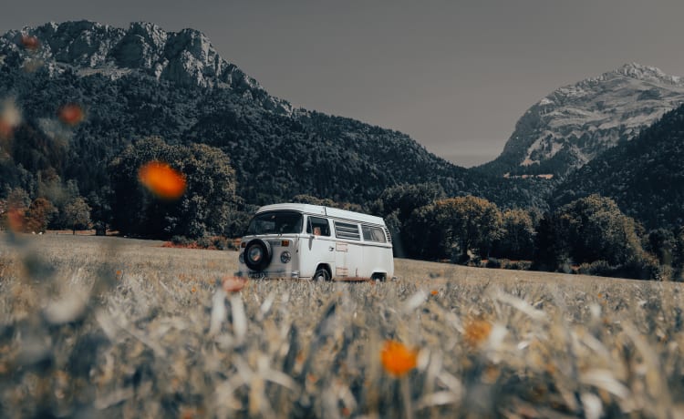 4p Volkswagen bus uit 1975