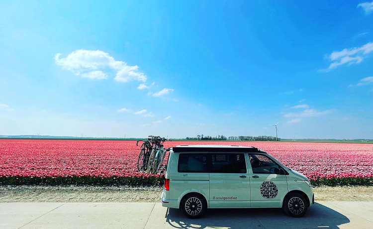 VOLKSWAGEN CALIFORNIA COAST dec2020