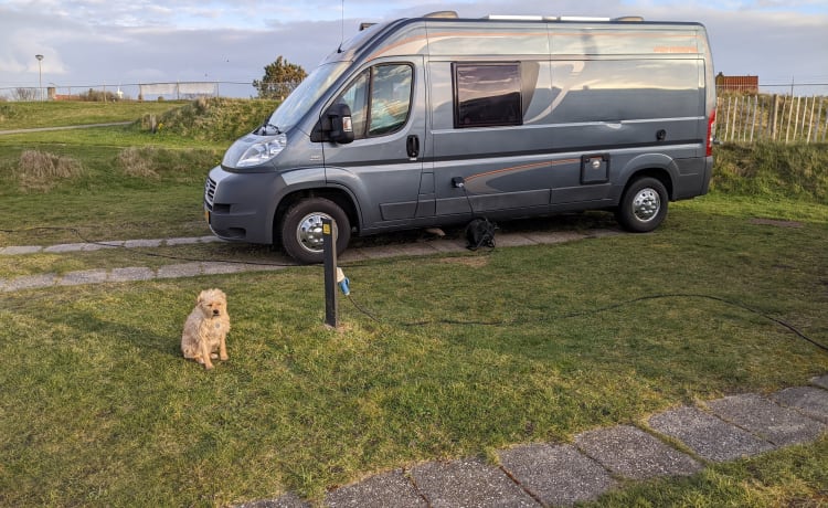 Weinsberg Bus Wohnmobil von 6m für 2 Personen