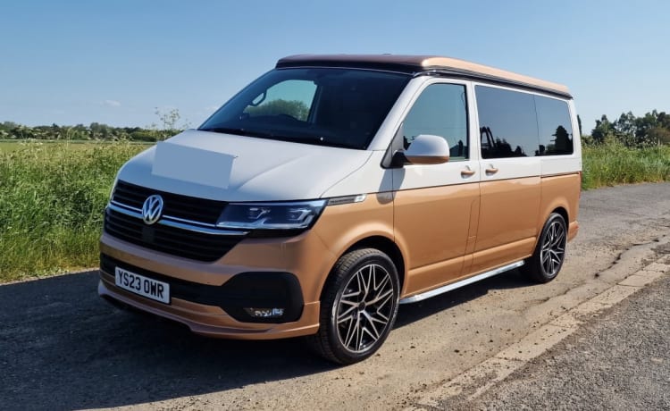 VW Campervan (White/Copper Bronze) – VW Campervan (2023) 4/6 couchettes