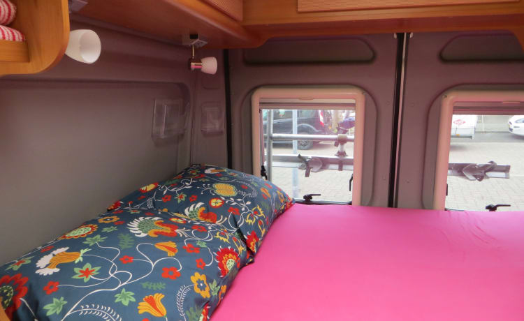 Camper bus compatto con molti utili extra