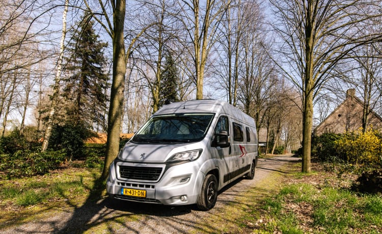 Jackie's hut – Schöner Peugeot Camperbus, 150 PS