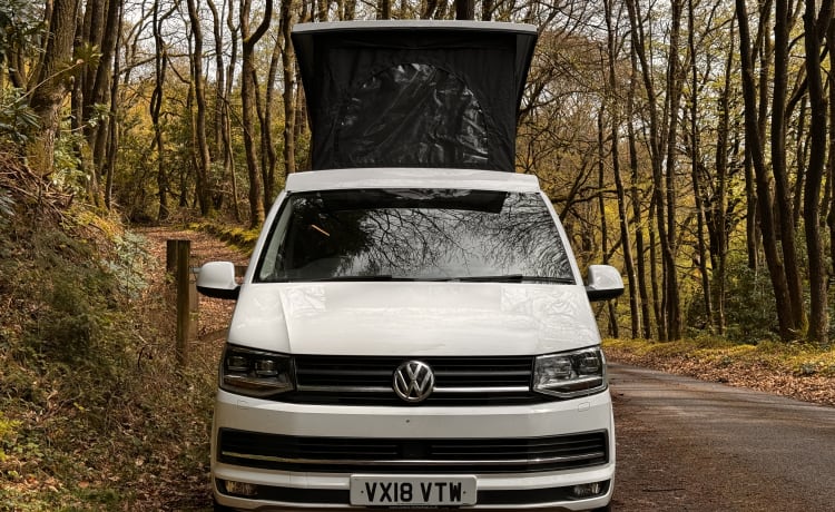 HERMAN THE CAMPER – 2018 Volkswagen Camper