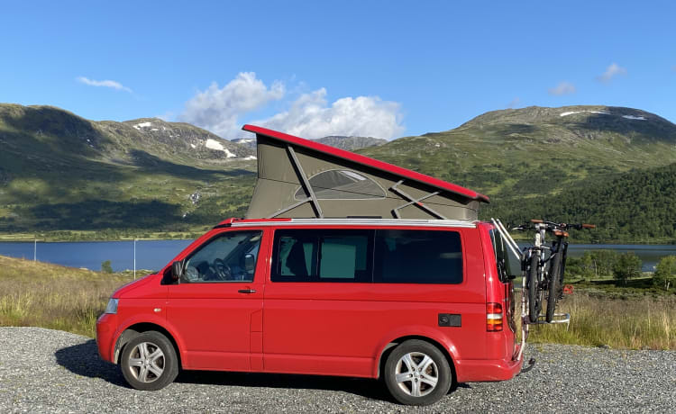 Red Volkswagen bus California T5