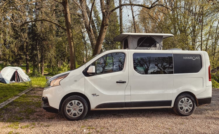 2p Fiat campervan uit 2019