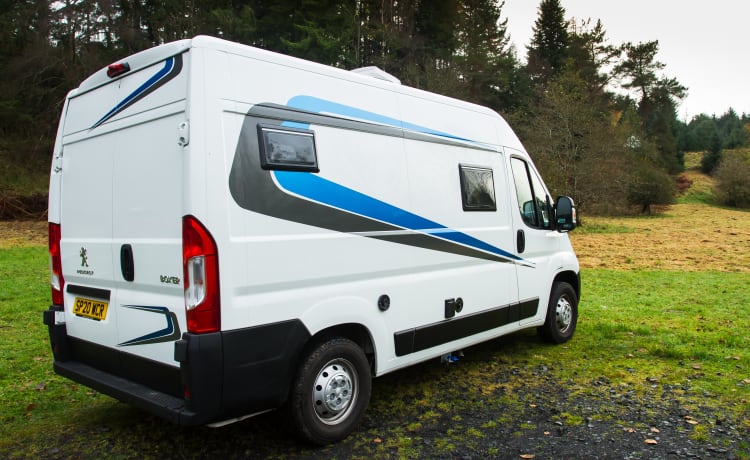 Camper Peugeot a 4 posti letto dal 2020