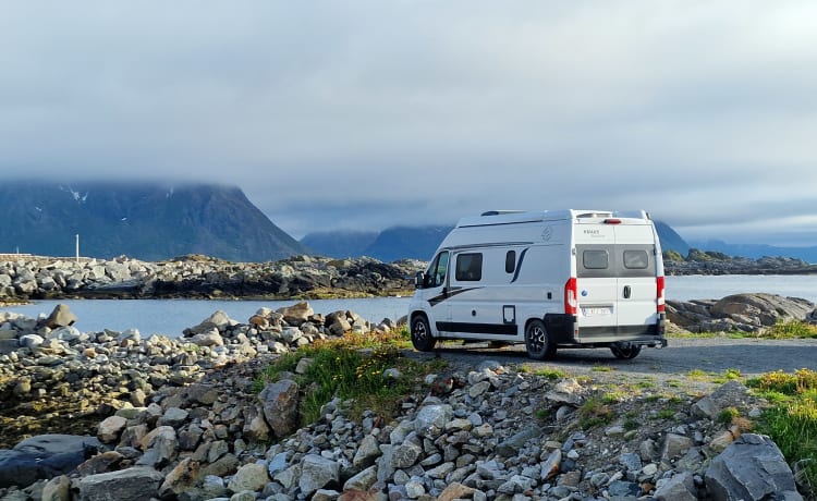 Globus – Well-equipped, cozy bus camper with a unique view