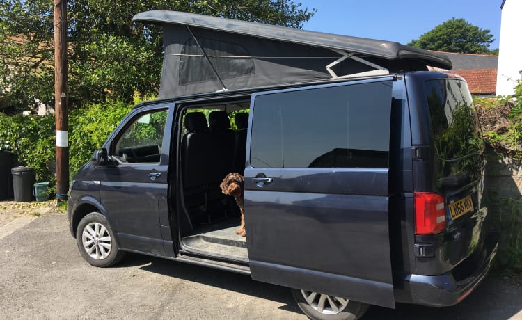 Darcey VW T5 North Devon 