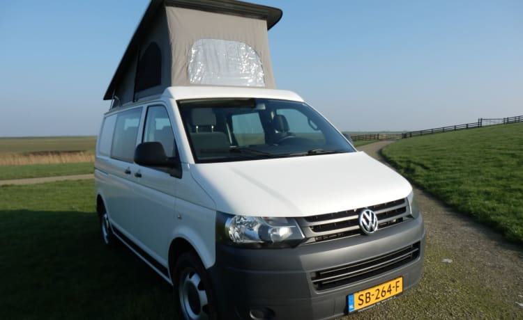 Beau camping-car Volkswagen