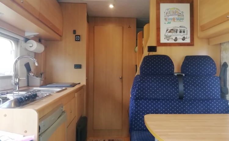 LADY – REIZEN MET CAMPER