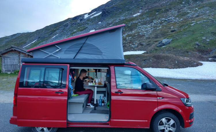 Costinha – VW T6 Costa della California 2016