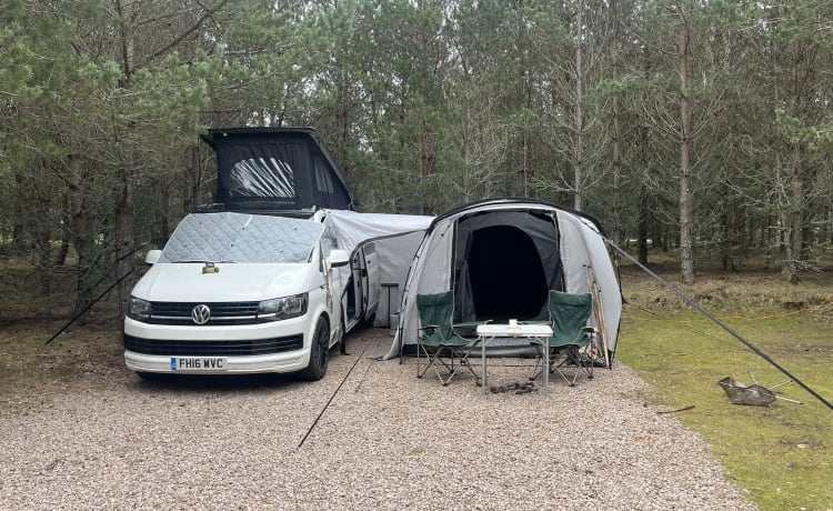 2 berth Volkswagen T6 LWB 2016 ( awning sleeps additional 2 persons ) 