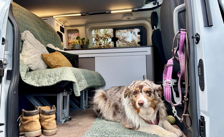 Wohnmobil (2 bis 4 Personen) mit Fahrradträger (Ford Transit Bürstner Copa 500) 