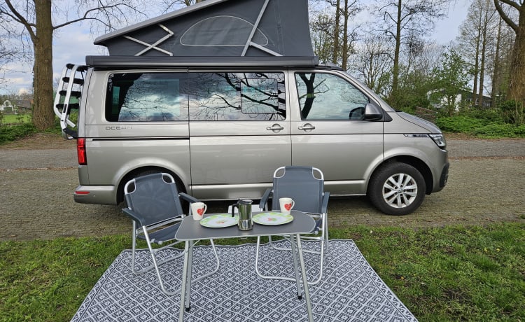 Volkswagen California Ocean 6.1 camper from 2020