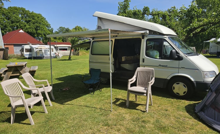 Nugget (chicken) – Schönes Ford Transit-Nugget für 4 Personen!