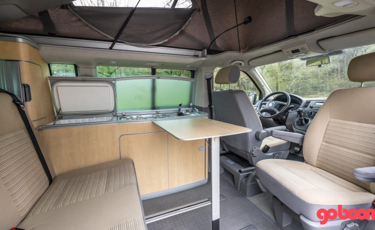 Stein – Volkswagen T5 California 4motion