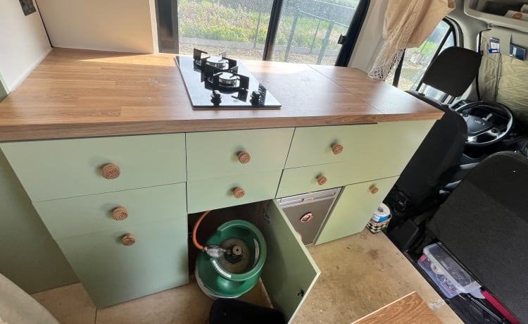 Poppy – Ford Campervan (2019) 2p + huisdier