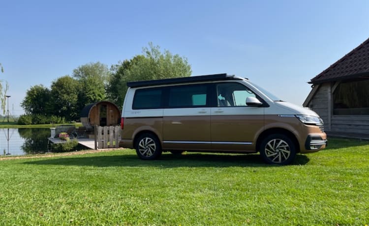 2p Volkswagen bus uit 2023