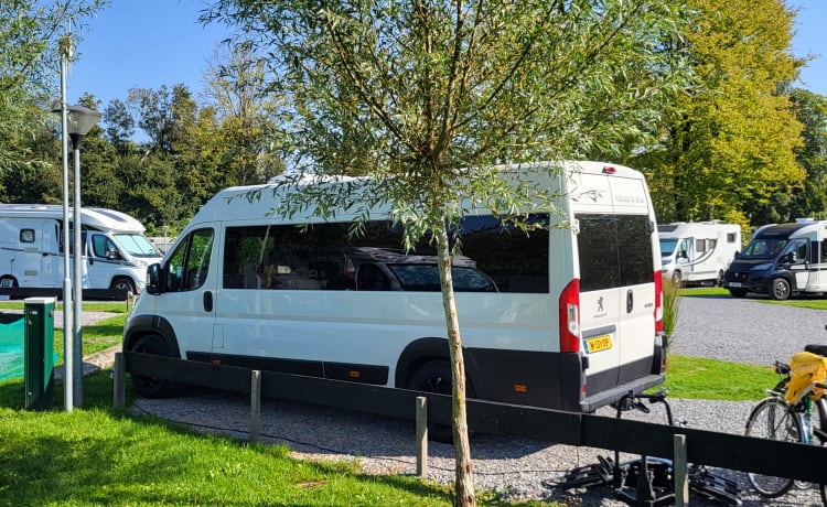 4p Peugeot bus from 2018