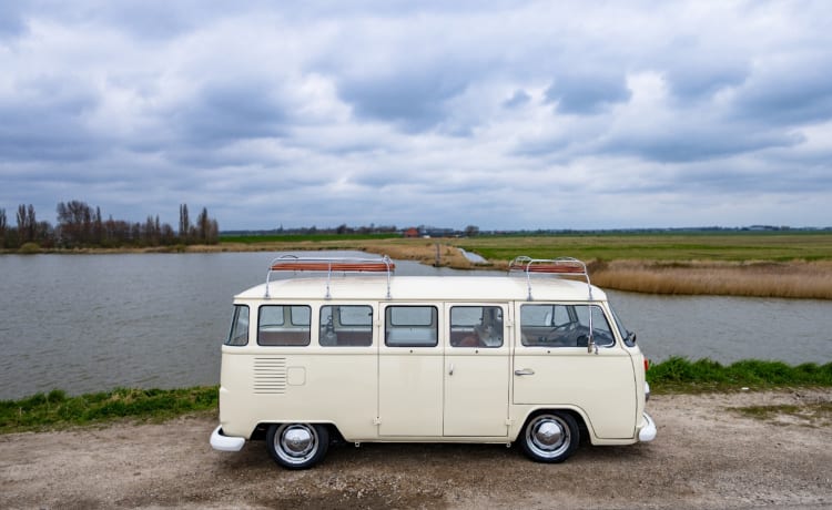 Tinus – Volkswagenbus T2 - Herr T. T.