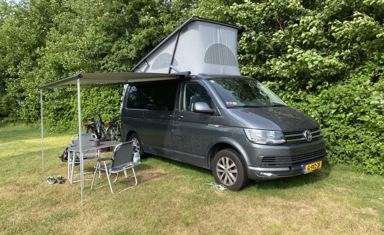 Bas – 4p Volkswagen VW T6 California Ocean  2018