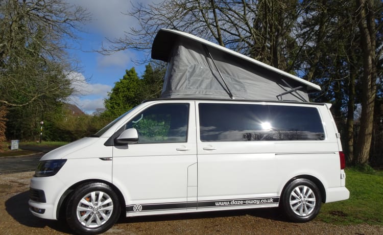 'Tommy' VW T6 Campervan