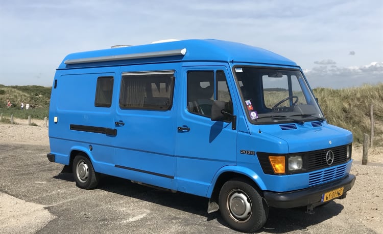 Lynz – Vrolijke kampeerbus Westfalia