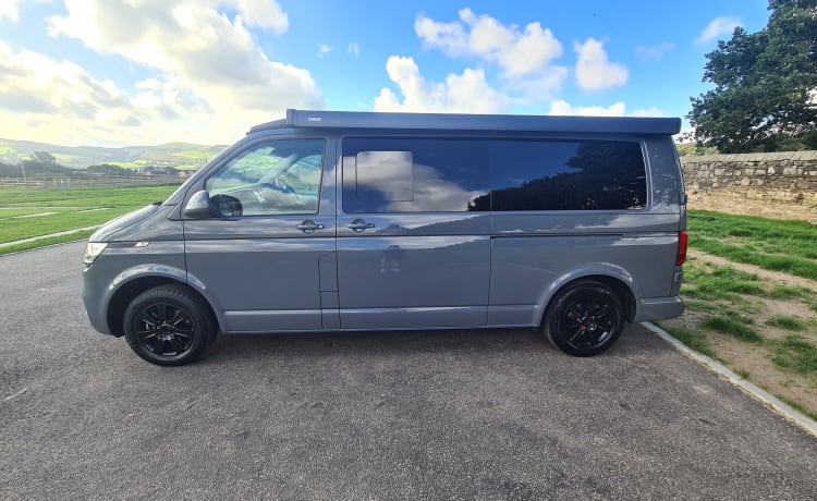 reggie – VW transporter t6.1