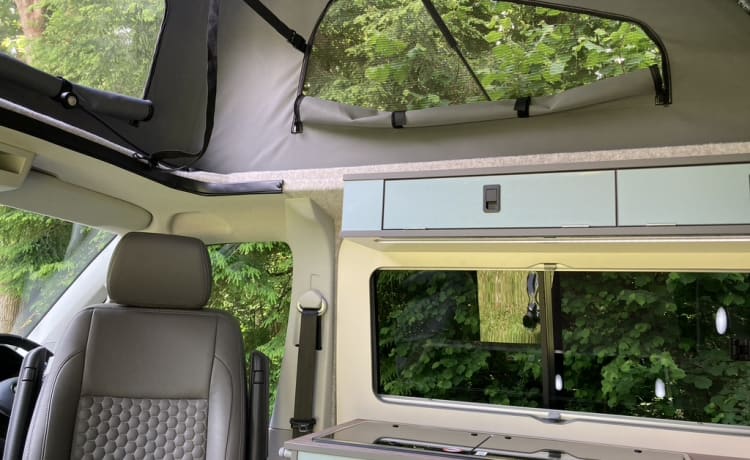 Ruthern – VW T6 splendidamente convertito da Ecowagon. Piazzola disponibile