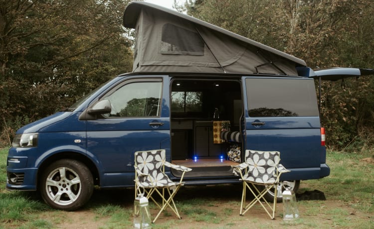 Vinnie – VW T5 Campervan Leicestershire