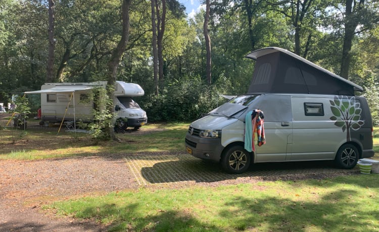 Saampjes – Saampjes een 4P. Volkswagen T5 uit 2012