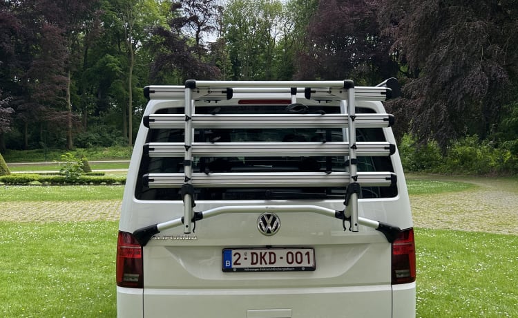 4p Volkswagen campervan uit 2020