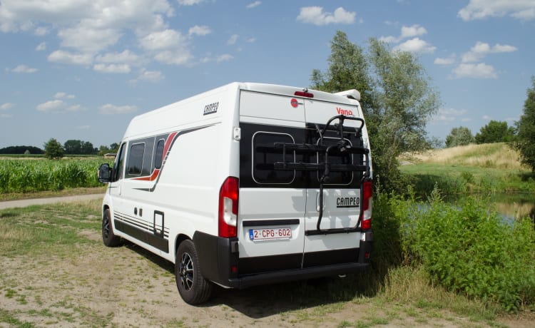 Dan the Campervan – Bürstner Campeo - bus 2p à partir de 2021