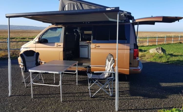 WCC – Wirral custom campers