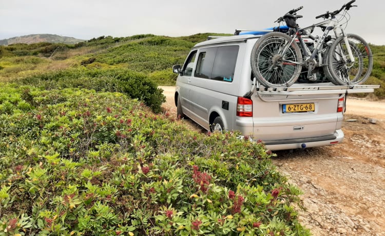 Maxie – 4p Volkswagen California T5