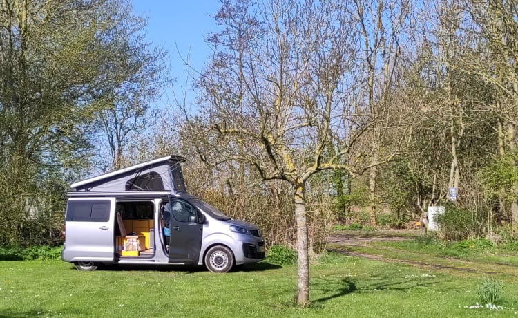 Ecobusje – Camper elettrico per due persone di Ecobusje