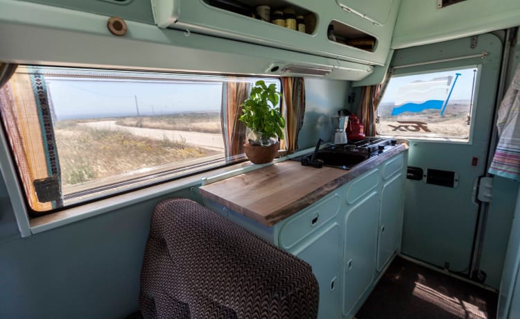 Ms. Paddy – Vintage Mercedes Westfalia campervan 🚌 🏄‍♂️ ⛱  incl. complete uitrusting