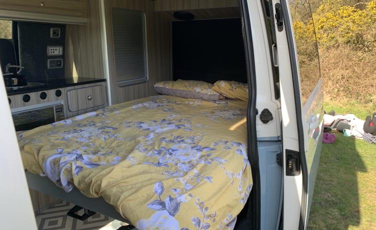 Penelope – Luxe VW T6 4-persoons camper