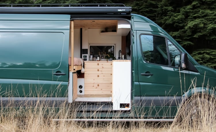 Highlander – Autobus camper veloce, fresco e accogliente!