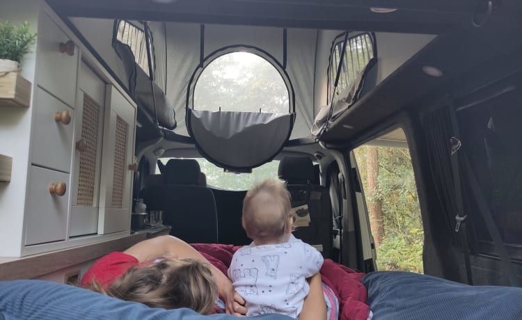 Summer yellow – 4 person campervan with cozy new Woodpecker installation